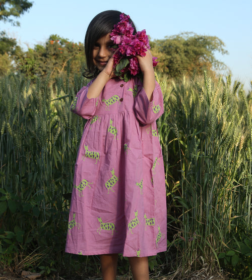 Tales from Kaziranga