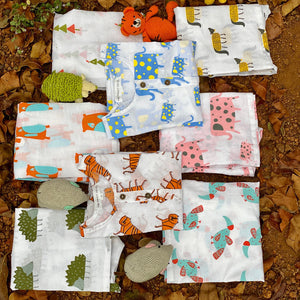 Catalog