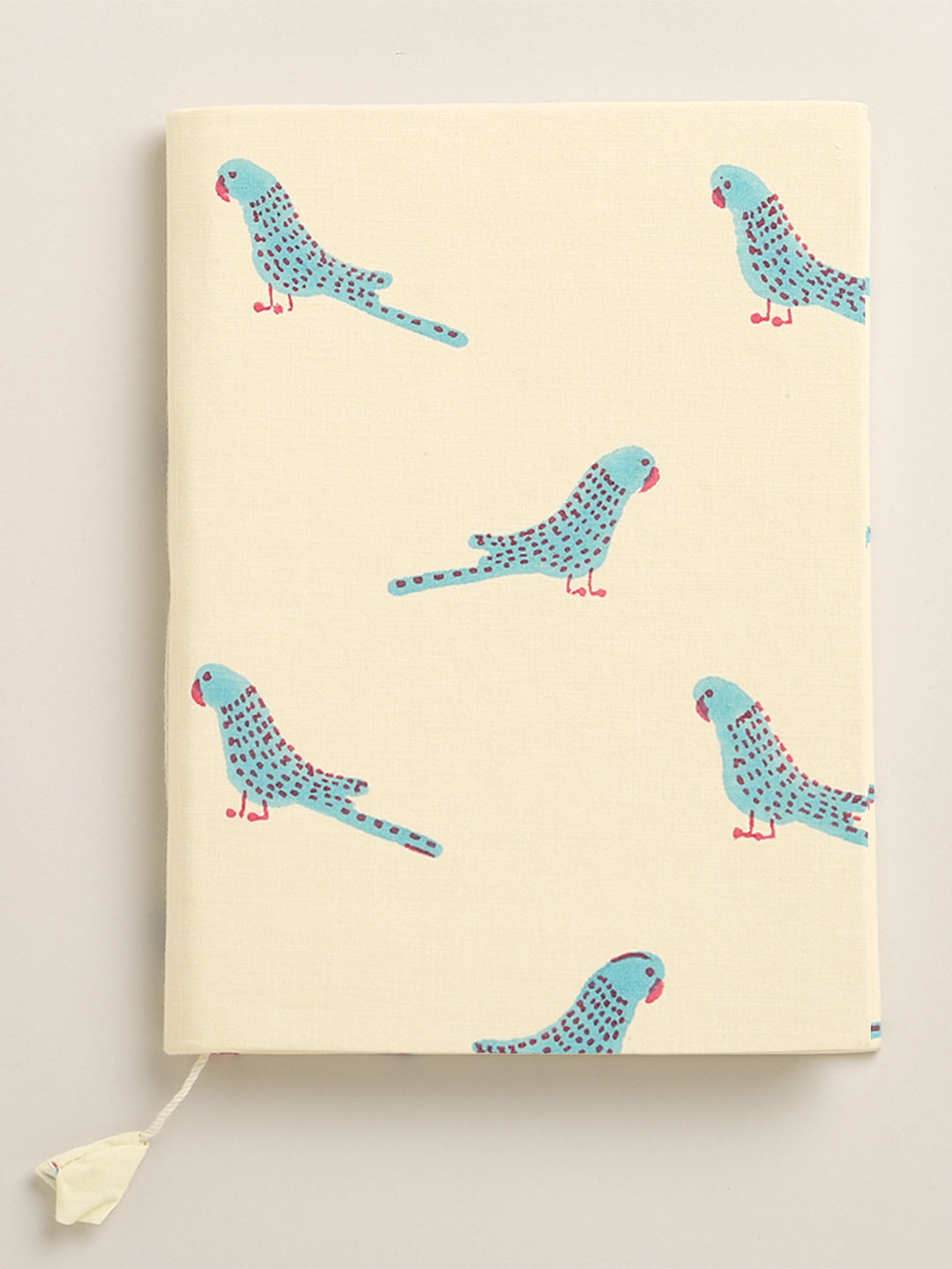 Upcycled Diaries