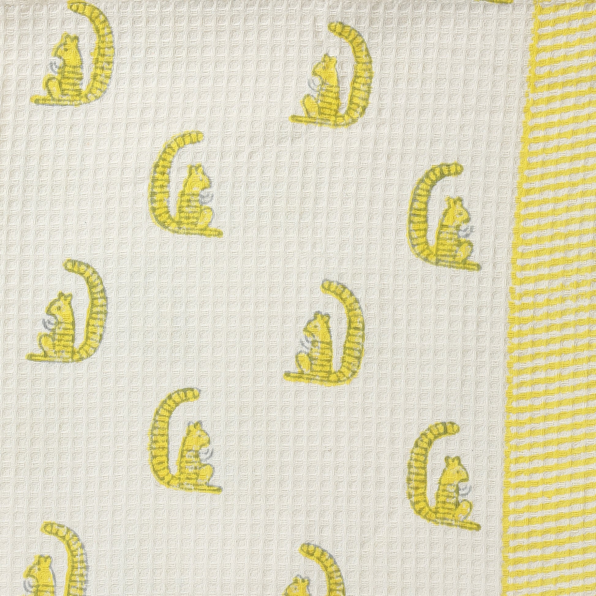 ' A Scurry of Squirrels' Bathing Towel