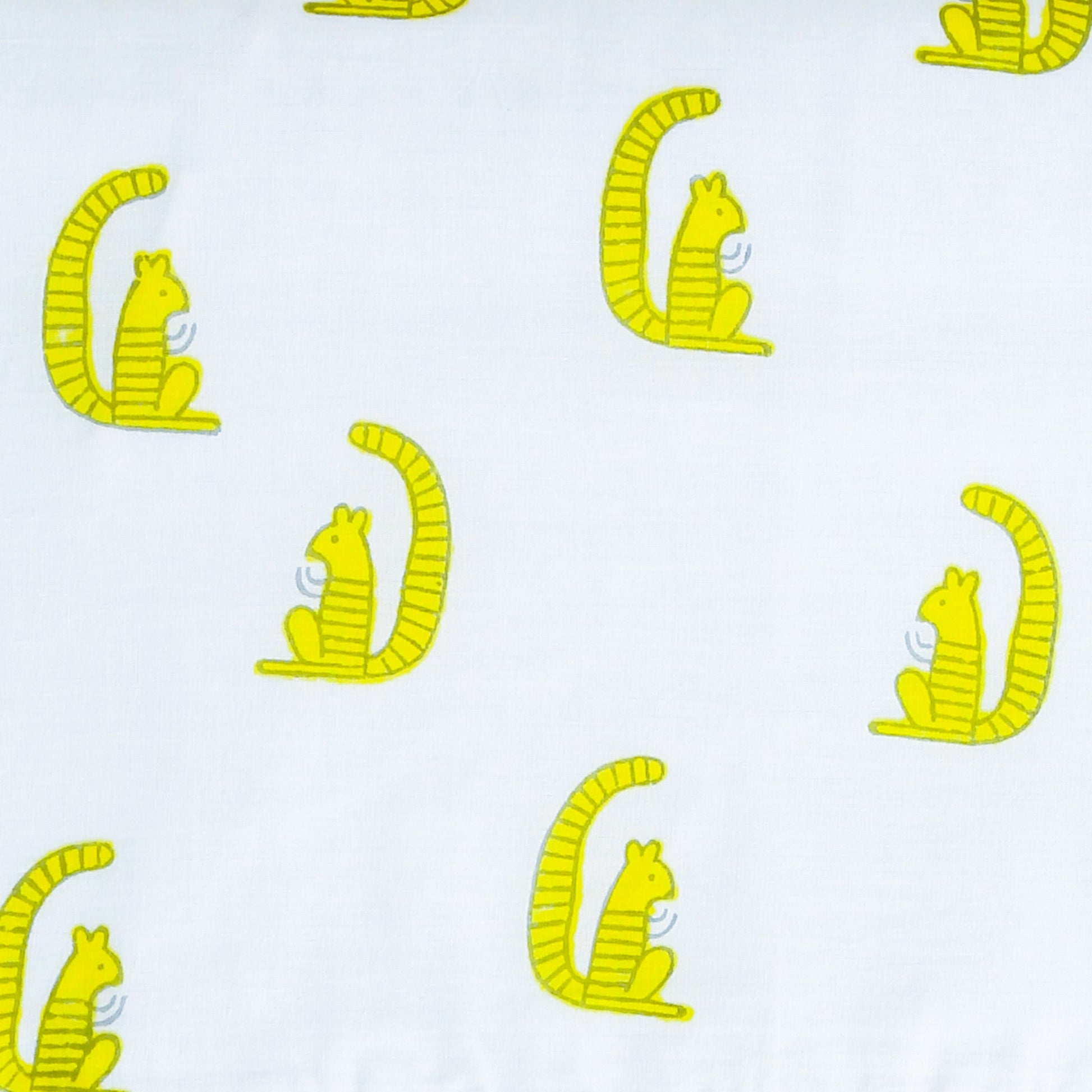 'A Scurry of Squirrels' Blanket