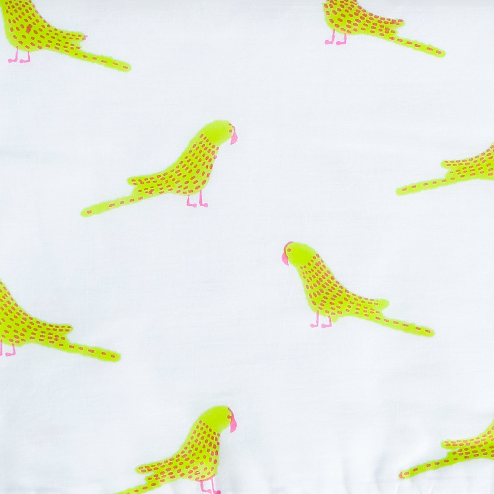 'A Cluster of Parakeets' Blanket