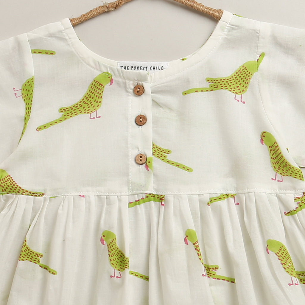 'A Cluster of Parakeets'  - Casual Dress on White