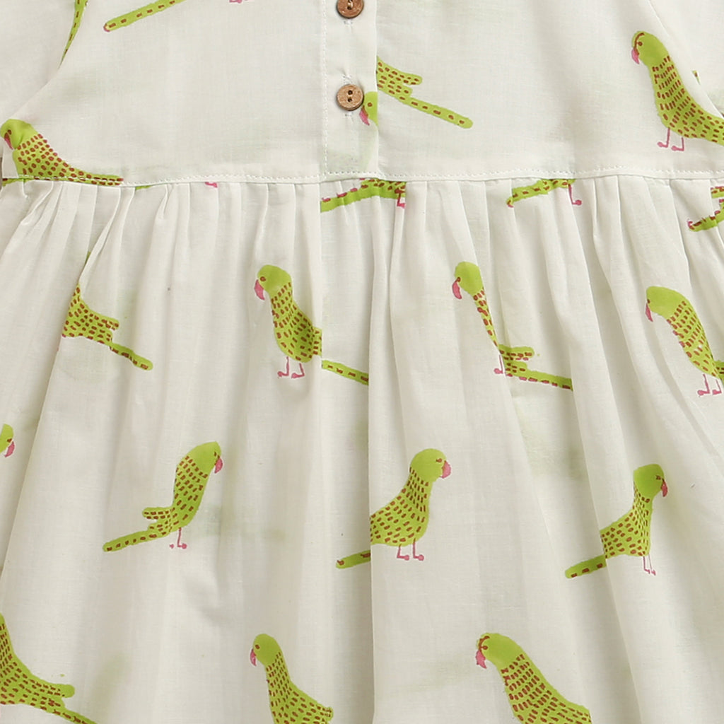 'A Cluster of Parakeets'  - Casual Dress on White