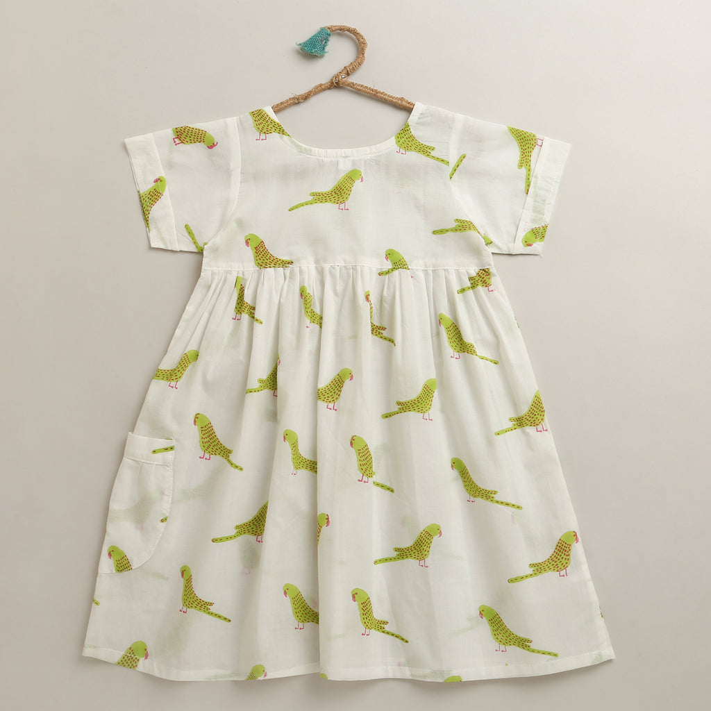'A Cluster of Parakeets'  - Casual Dress on White