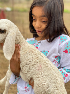 'A Flock of Sheep' Kurta Pyjama Set